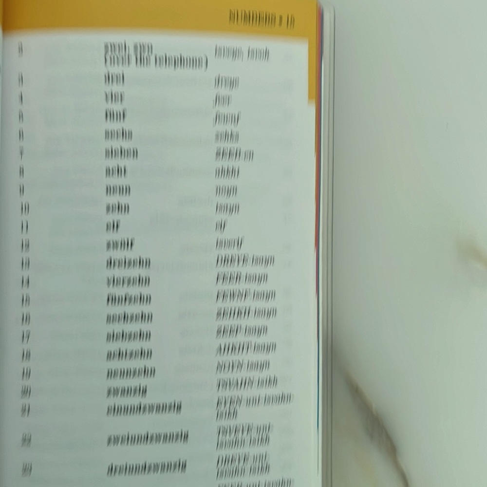 German Language At A Glance Barrons Travel Book - Picture 3 of 4